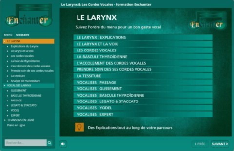 Formation Le Larynx & Les Cordes Vocales